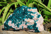 Natural Extra Large Classic Emerald Dioptase Museum Size Specimen x 1 From Tantara, Congo - TopRock