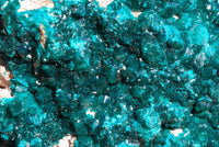 Natural Extra Large Classic Emerald Dioptase Museum Size Specimen x 1 From Tantara, Congo - TopRock