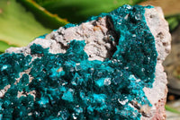 Natural Extra Large Classic Emerald Dioptase Museum Size Specimen x 1 From Tantara, Congo - TopRock