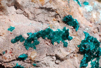 Natural Extra Large Classic Emerald Dioptase Museum Size Specimen x 1 From Tantara, Congo - TopRock