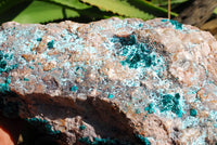 Natural Extra Large Classic Emerald Dioptase Museum Size Specimen x 1 From Tantara, Congo - TopRock