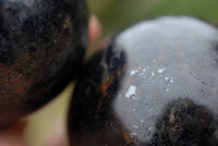 Polished Blue Water Sapphire Spheres x 2 From Madagascar - TopRock