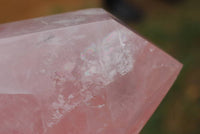 Polished Gemmy Double Terminated Rose Quartz Crystals x 4 From Ambatondrazaka, Madagascar - TopRock