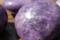 Polished Lepidolite Gallets & Free Forms x 12 From Zimbabwe - TopRock