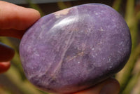 Polished Lepidolite Gallets & Free Forms x 12 From Zimbabwe - TopRock