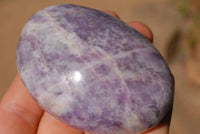 Polished Lepidolite Gallets & Free Forms x 12 From Zimbabwe - TopRock