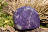 Polished Lepidolite Gallets & Free Forms x 12 From Zimbabwe - TopRock