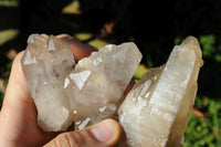 Natural Phantom Quartz Crystals x 20 From Zimbabwe - TopRock