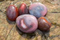 Polished Mini Sashe River Agate Palm Stones / Gallets - sold per 1 Kg - from Sashe River, Zimbabwe - TopRock