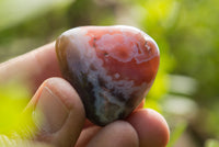 Polished Mini Sashe River Agate Palm Stones / Gallets - sold per 1 Kg - from Sashe River, Zimbabwe - TopRock