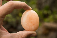 Polished Orange Twist Calcite Palm Stones  x 12 From Madagascar - TopRock