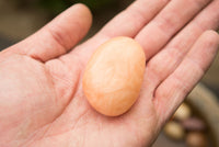 Polished Orange Twist Calcite Palm Stones  x 12 From Madagascar - TopRock