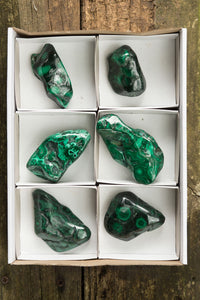 Polished Malachite Free Forms With Stunning Flower & Banding Patterns x 6 From Congo - TopRock