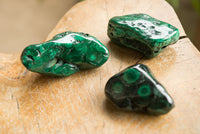 Polished Malachite Free Forms With Stunning Flower & Banding Patterns x 6 From Congo - TopRock