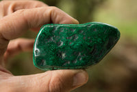 Polished Malachite Free Forms With Stunning Flower & Banding Patterns x 6 From Congo - TopRock