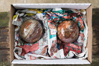 Polished Petrified Red Podocarpus Wood Spheres  x 2 From Madagascar - TopRock