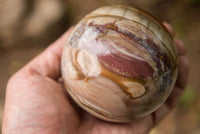 Polished Petrified Red Podocarpus Wood Spheres  x 2 From Madagascar - TopRock