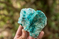 Natural Rough Blue Shattuckite Specimens  x 5 From Kaokoveld, Namibia - TopRock