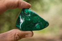 Polished Malachite Free Forms With Stunning Flower & Banding Patterns x 6 From Congo - TopRock