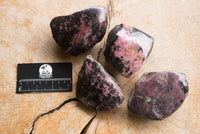 Polished One Side Polished Rhodonite Free Forms  x 4 From Ambindavato, Madagascar - TopRock