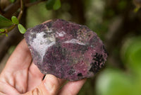 Polished One Side Polished Rhodonite Free Forms  x 4 From Ambindavato, Madagascar - TopRock