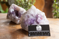 Natural Jacaranda Amethyst Vug Specimens  x 2 From Mumbwa, Zambia - TopRock