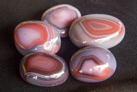 Polished Mini Sashe River Agate Palm Stones / Gallets - sold per 1 Kg - from Sashe River, Zimbabwe - TopRock