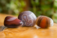 Polished Mini Sashe River Agate Palm Stones / Gallets - sold per 1 Kg - from Sashe River, Zimbabwe - TopRock