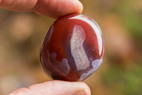 Polished Mini Sashe River Agate Palm Stones / Gallets - sold per 1 Kg - from Sashe River, Zimbabwe - TopRock