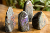 Polished Labradorite Standing Free Forms With Intense Blue & Gold Flash x 4 From Sakoany, Madagascar - TopRock