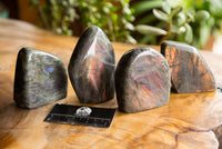 Polished Labradorite Standing Free Forms With Intense Blue & Gold Flash x 4 From Sakoany, Madagascar - TopRock