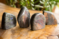 Polished Labradorite Standing Free Forms With Intense Blue & Gold Flash x 4 From Sakoany, Madagascar - TopRock