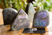 Polished Labradorite Standing Free Forms With Intense Blue & Gold Flash x 4 From Sakoany, Madagascar - TopRock