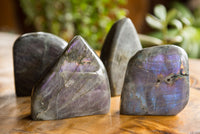 Polished Labradorite Standing Free Forms With Intense Blue & Gold Flash x 4 From Sakoany, Madagascar - TopRock