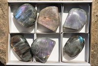 Polished Rare Purple Sunset Labradorite Standing Free Forms  x 6 From Sakoany, Madagascar - TopRock