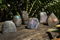 Polished Rare Purple Sunset Labradorite Standing Free Forms  x 6 From Sakoany, Madagascar - TopRock