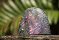 Polished Rare Purple Sunset Labradorite Standing Free Forms  x 6 From Sakoany, Madagascar - TopRock