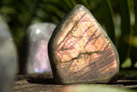 Polished Rare Purple Sunset Labradorite Standing Free Forms  x 6 From Sakoany, Madagascar - TopRock