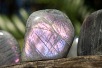 Polished Rare Purple Sunset Labradorite Standing Free Forms  x 6 From Sakoany, Madagascar - TopRock