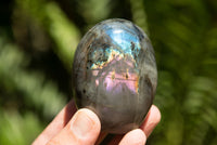 Polished Rare Purple Sunset Labradorite Standing Free Forms  x 6 From Sakoany, Madagascar - TopRock