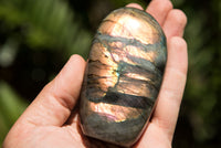 Polished Rare Purple Sunset Labradorite Standing Free Forms  x 6 From Sakoany, Madagascar - TopRock