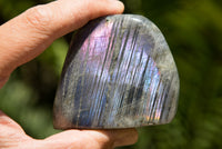 Polished Rare Purple Sunset Labradorite Standing Free Forms  x 6 From Sakoany, Madagascar - TopRock