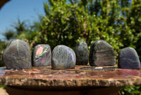 Polished Rare Purple Sunset Labradorite Standing Free Forms  x 6 From Sakoany, Madagascar - TopRock