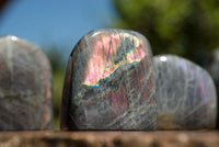 Polished Rare Purple Sunset Labradorite Standing Free Forms  x 6 From Sakoany, Madagascar - TopRock