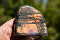 Polished Rare Purple Sunset Labradorite Standing Free Forms  x 6 From Sakoany, Madagascar - TopRock