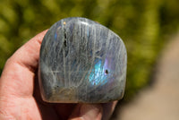 Polished Rare Purple Sunset Labradorite Standing Free Forms  x 6 From Sakoany, Madagascar - TopRock