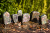 Polished Rare Purple Sunset Labradorite Standing Free Forms  x 6 From Sakoany, Madagascar - TopRock