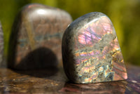 Polished Rare Purple Sunset Labradorite Standing Free Forms  x 6 From Sakoany, Madagascar - TopRock