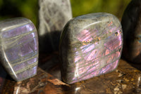 Polished Rare Purple Sunset Labradorite Standing Free Forms  x 6 From Sakoany, Madagascar - TopRock