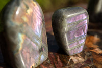 Polished Rare Purple Sunset Labradorite Standing Free Forms  x 6 From Sakoany, Madagascar - TopRock